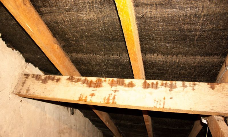 Building Damage Repair in Summerville, SC